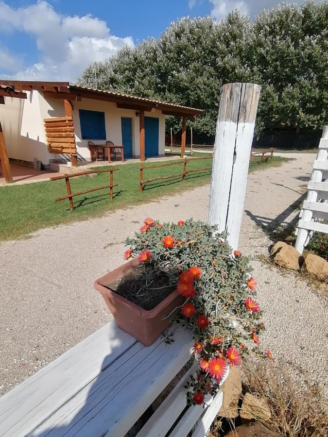 Agriturismo Oca Giuliva Lido dei Pini Exterior photo